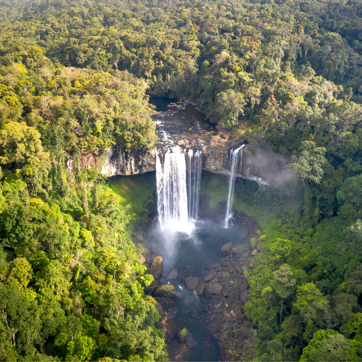 Manifestaciones de interés - Programa Voluntarios para la Amazonia (V-Amazonie)
